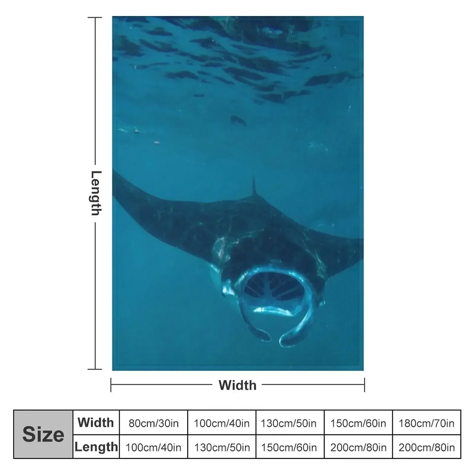 Curious Manta Ray At Crystal B - огляд і ціна 3D Printing Bali
